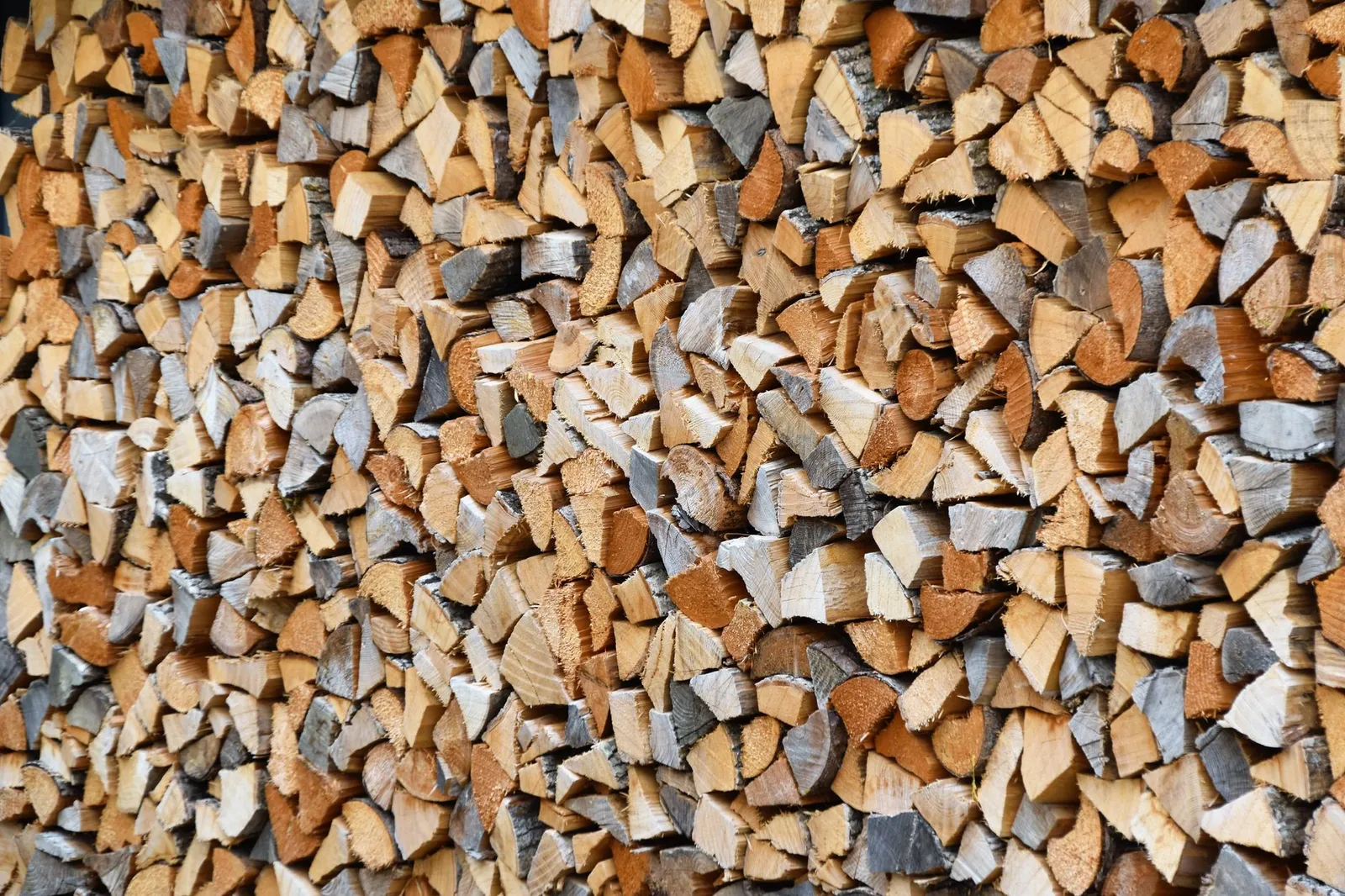 Grande pile de bûches de feuillus fendues, rangées serrées, certaines faces grisées par les années