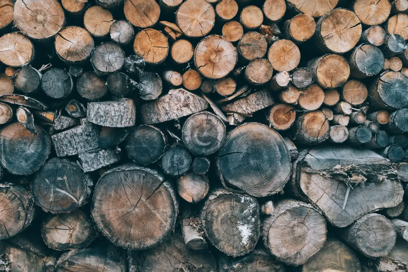 Granulés de bois en gros plan