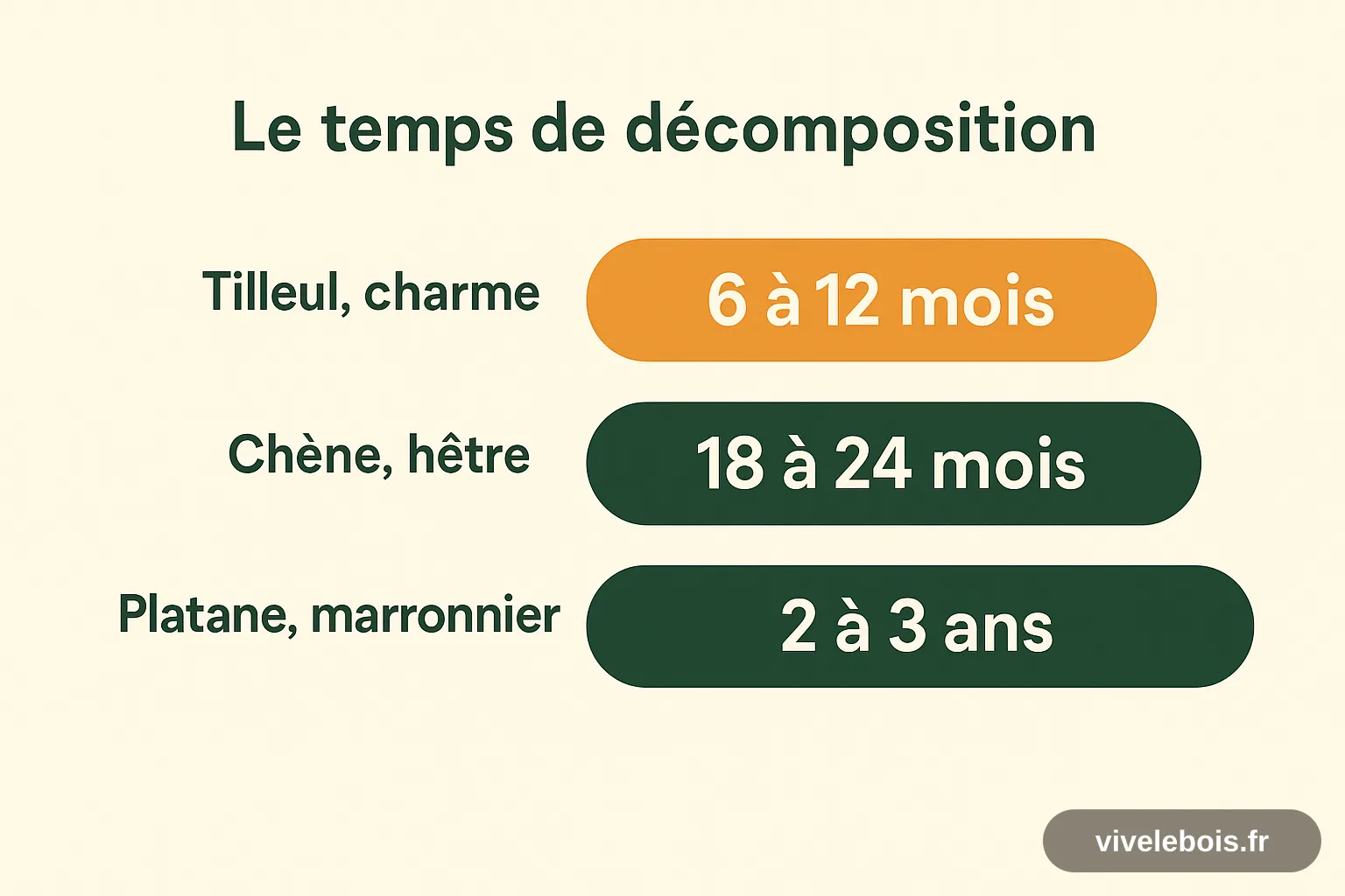 Temps de décomposition des feuilles mortes selon l'essence : 6 à 12 mois pour le tilleul et le charme, 18 à 24 mois pour le chêne et le hêtre, 2 à 3 ans pour le platane et le marronnier