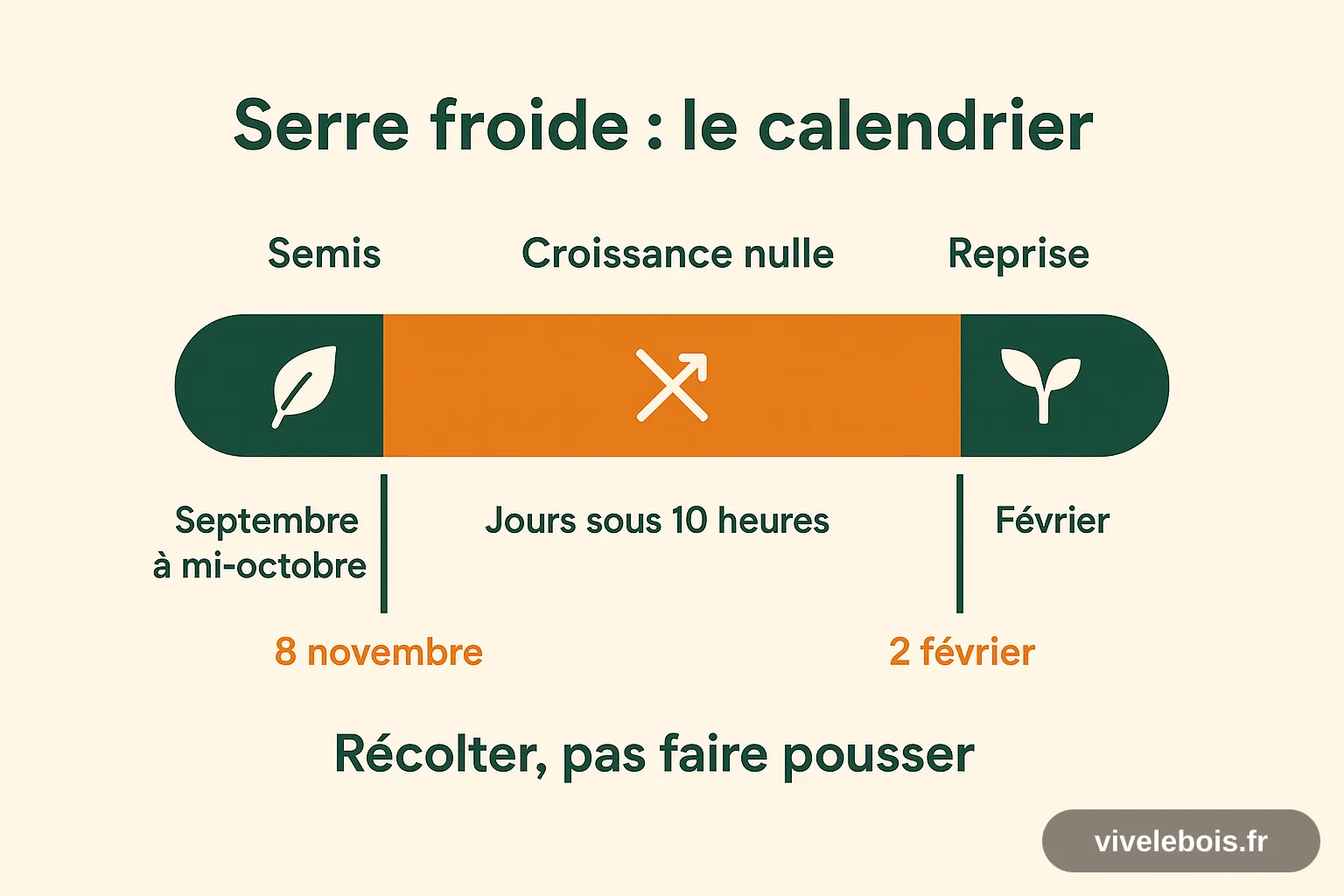Calendrier de la serre froide : semis de septembre à mi-octobre, arrêt de la croissance du 8 novembre au 2 février sous 10 heures de jour, reprise en février